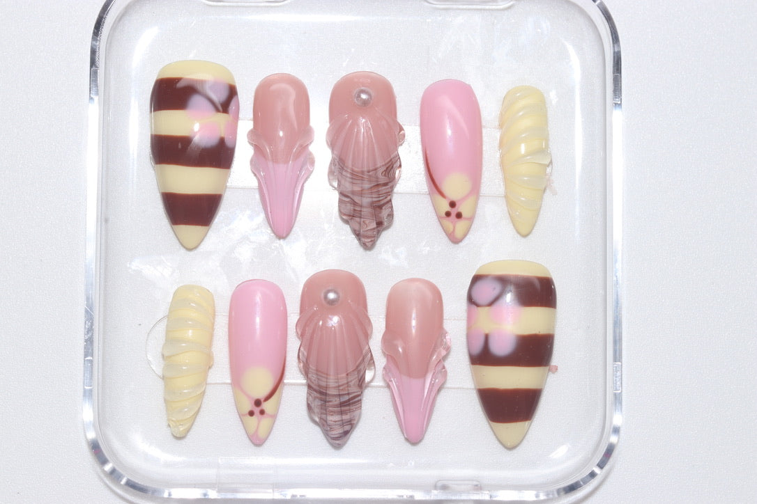 Tropical Seashell - Press On Nails